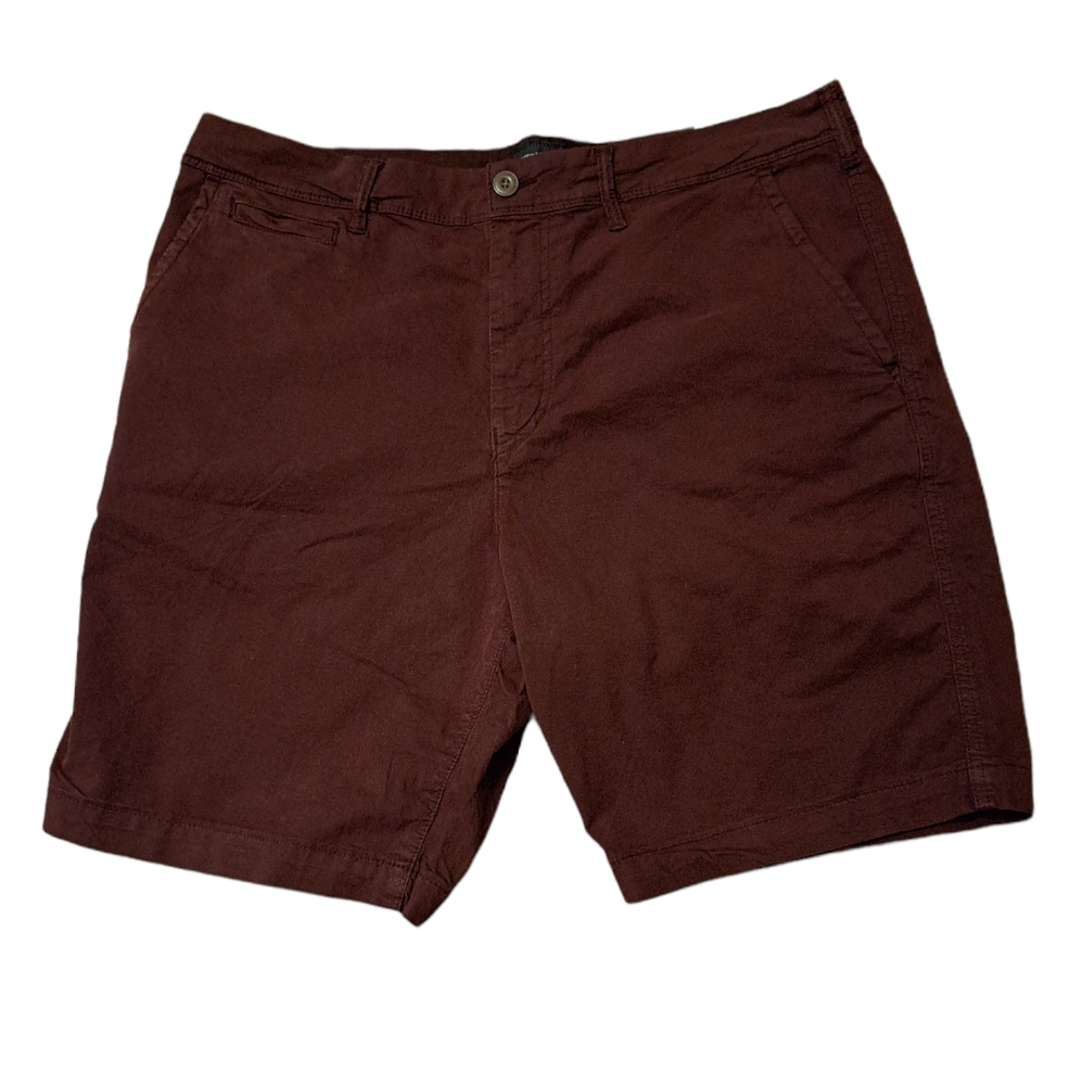 Mens American Eagle Outfitters Shorts Size 36